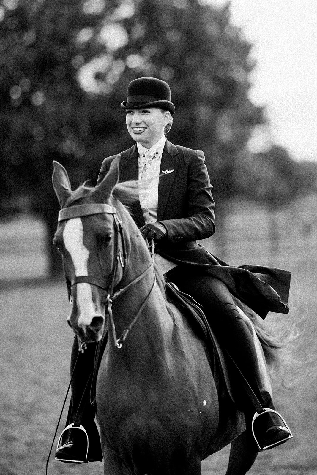 Equestrian Photography476