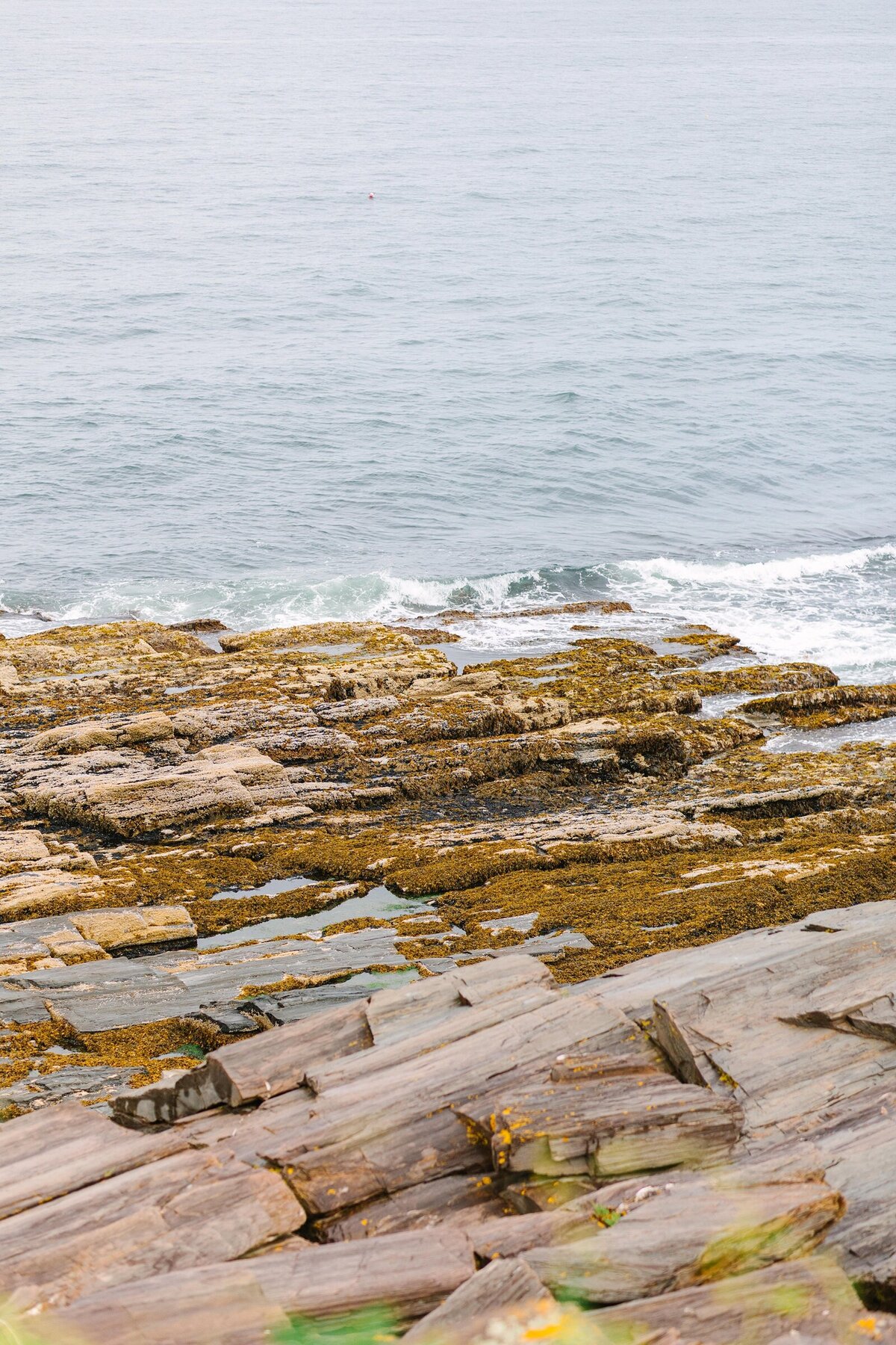 Classic_Coastal_Maine_Wedding_Two_Lights_State_Park_Ocean_Gateway_Photography_0061