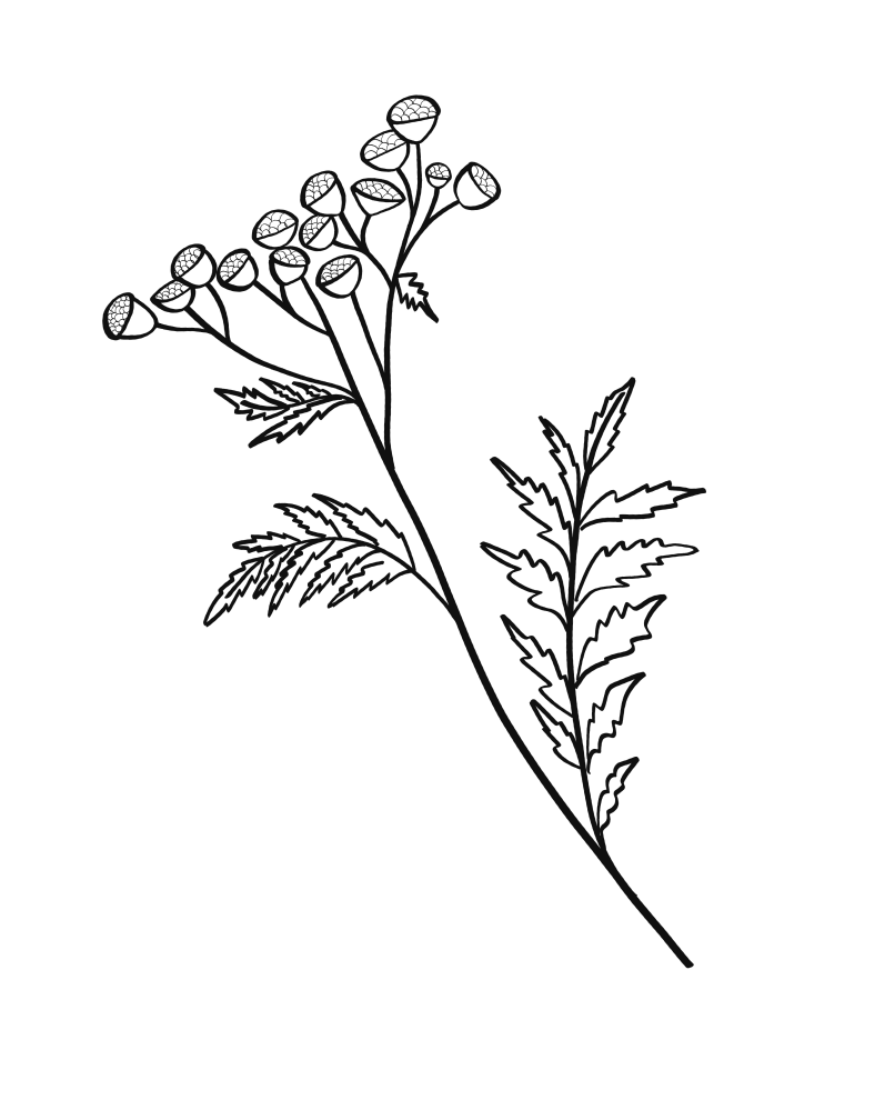 About_Mobile_Floral_2