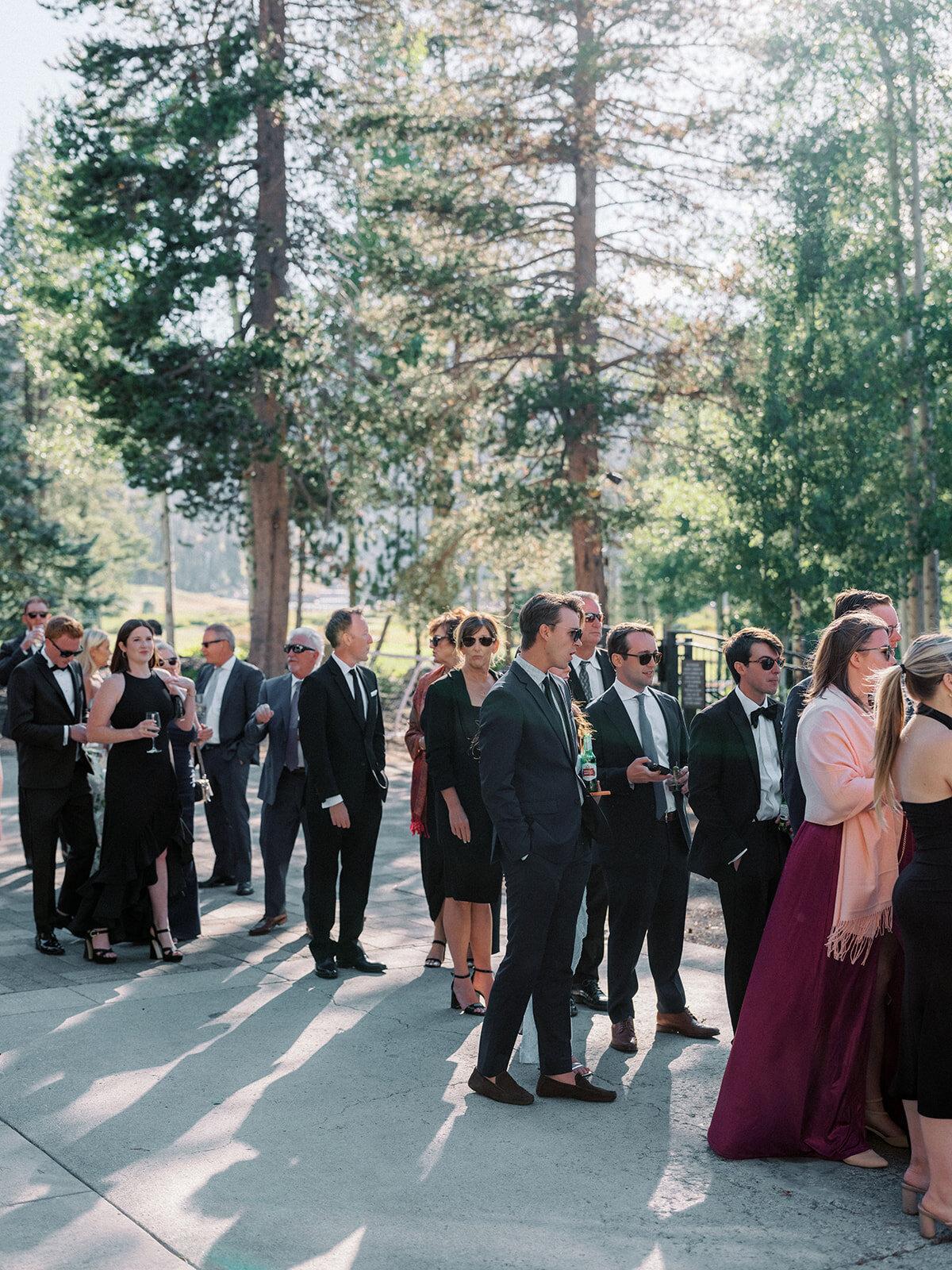 Cassia-and-AJ_Wedding_Everline-Resort-and-Spa_Lake-Tahoe_547