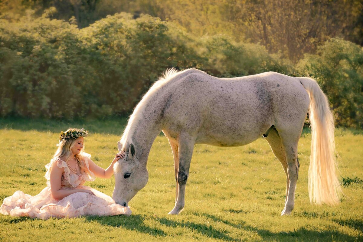 seattle-equine-photographer-10