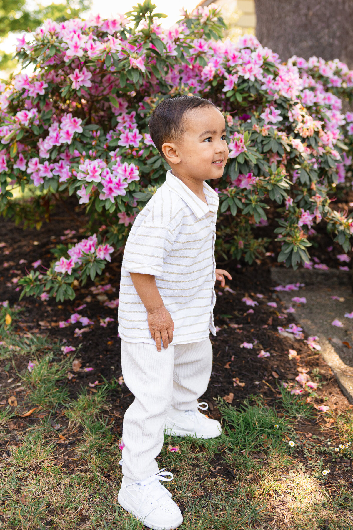 Piedmont Park Japanese Teahouse_Bay Area Family Photography_Valarie Duran Photography-7819