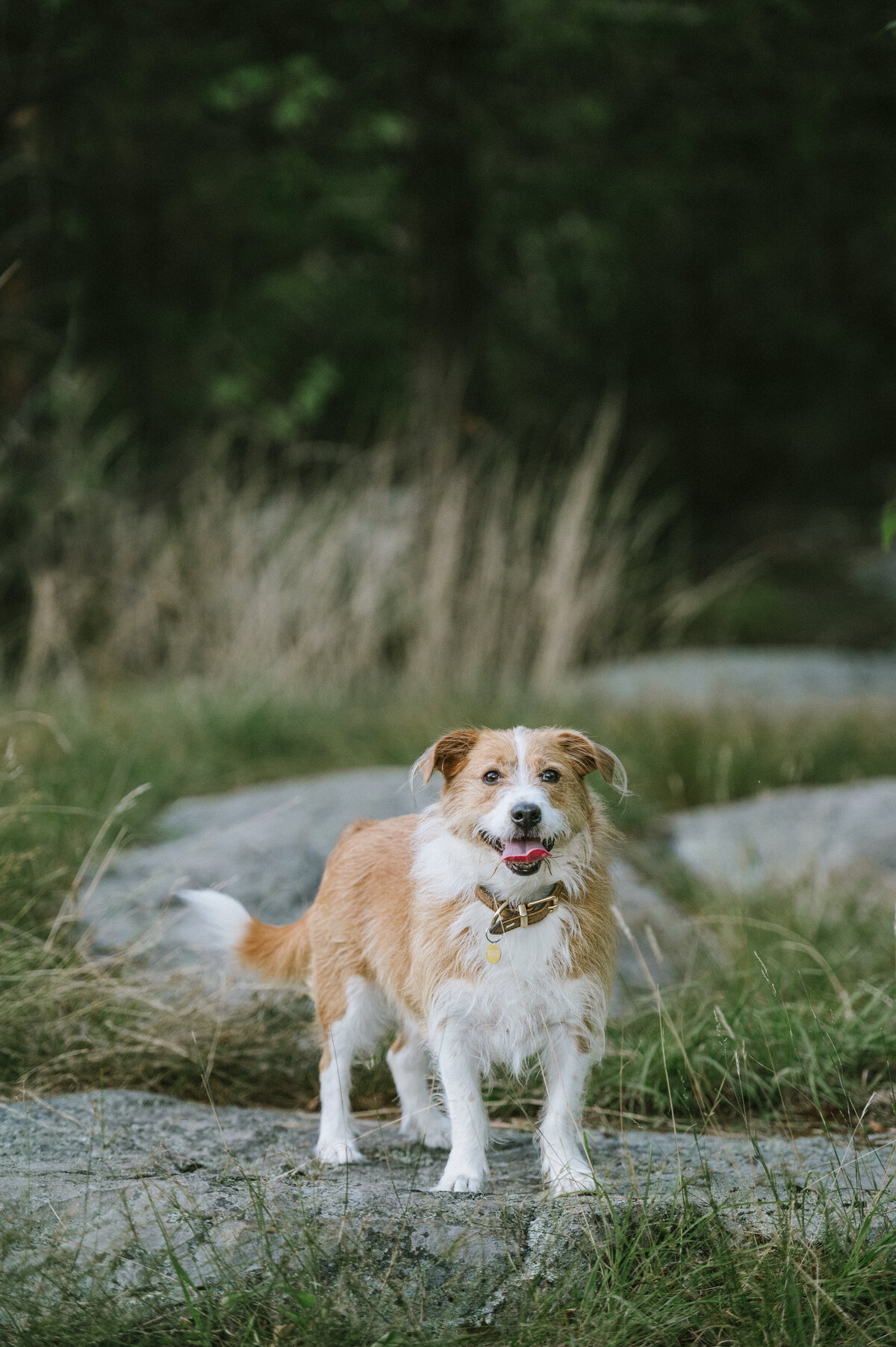 outdoor-nature-photography-session-mid-atlantic