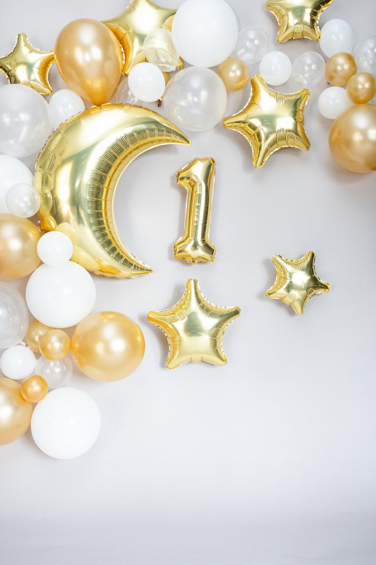 First-Birthday-Photos-Backdrop-Denver-Colorado