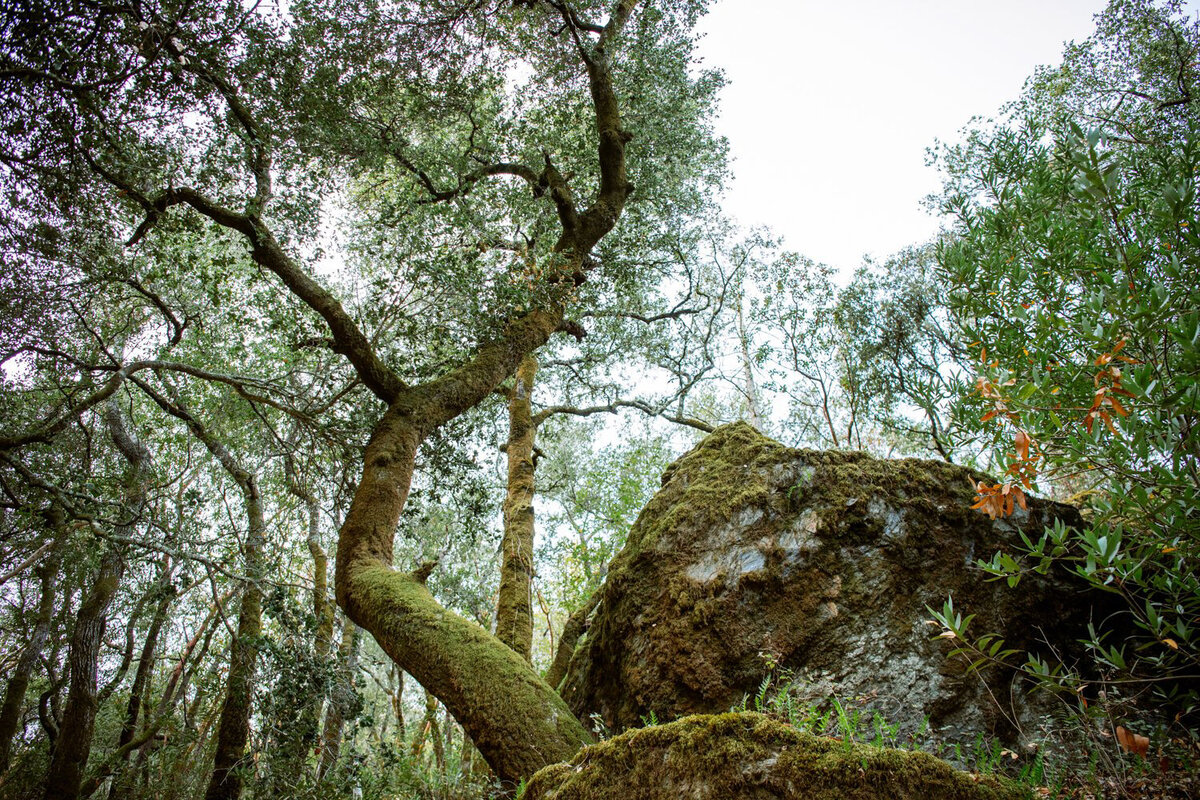 katharristravelphotographer-18 (1)