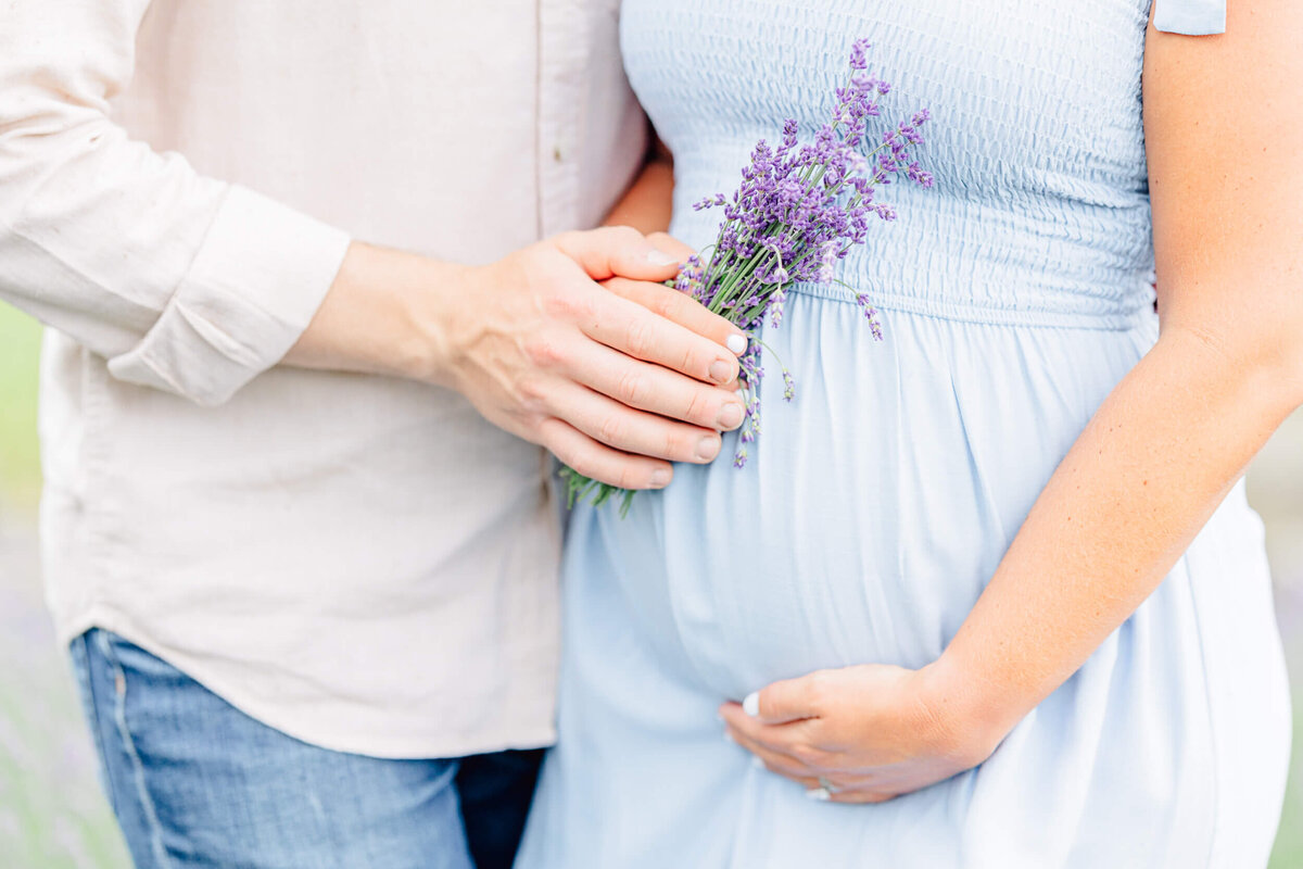 Closeup of a baby bump with mom's hand underneath it and her husband's hand on top, holding lavender