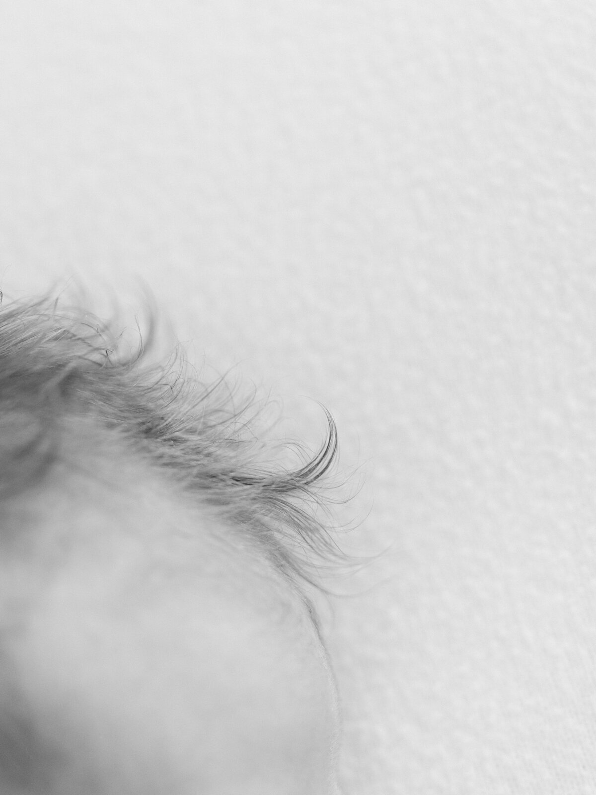 jacobandbriellephotography.com-32