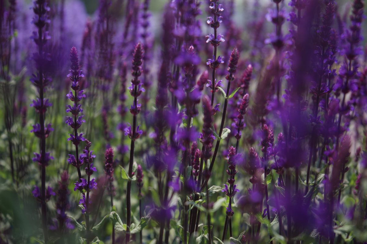 Screenshot 2025-07-21 at 12.24.43 AM