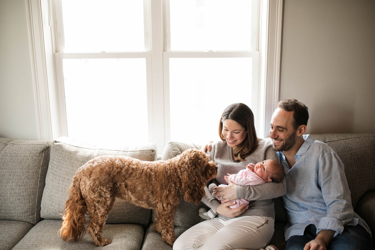 candid-natural-boston-newborn-family-photographer-zev-fisher-064