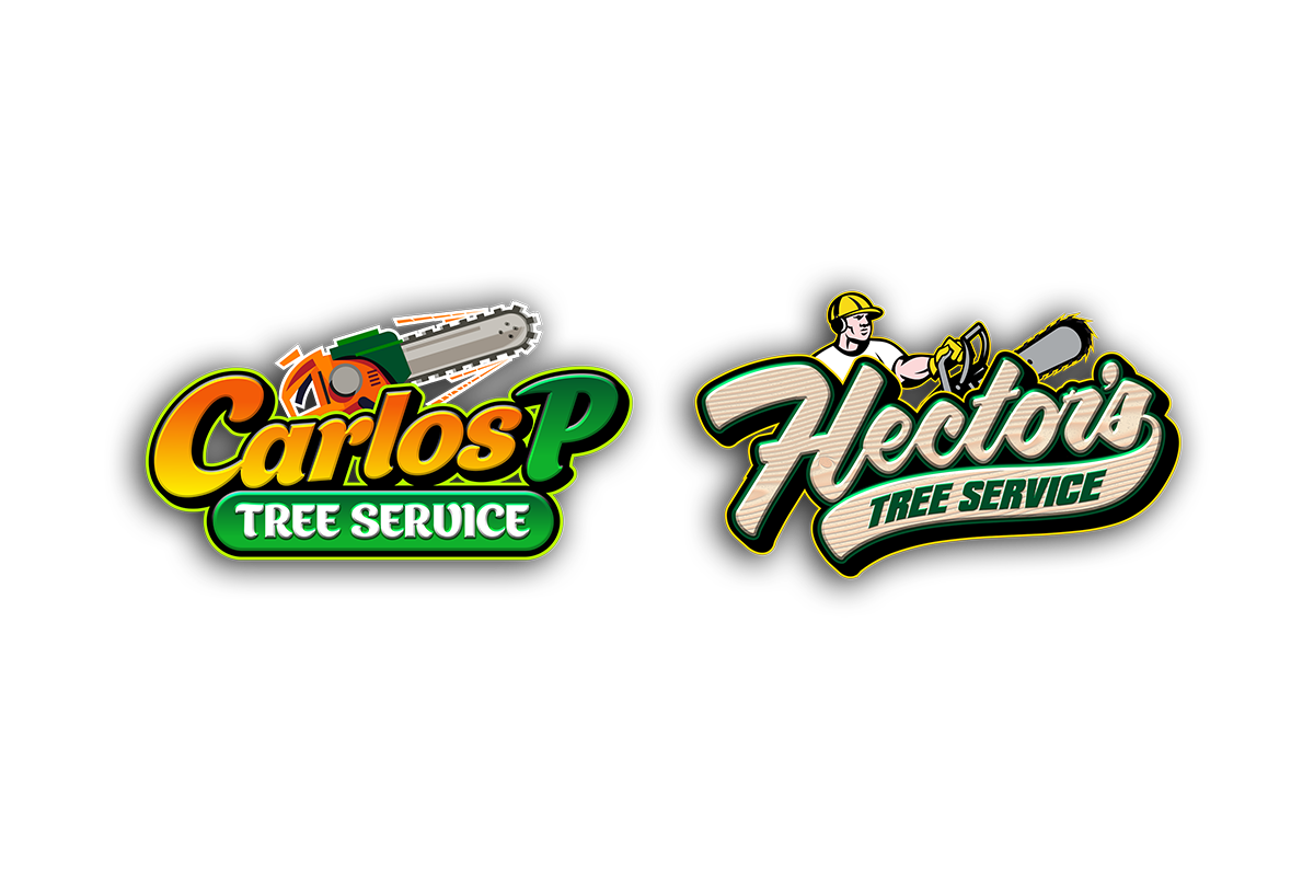 logo-design-slider-33-carlos-p-tree-hectors-tree