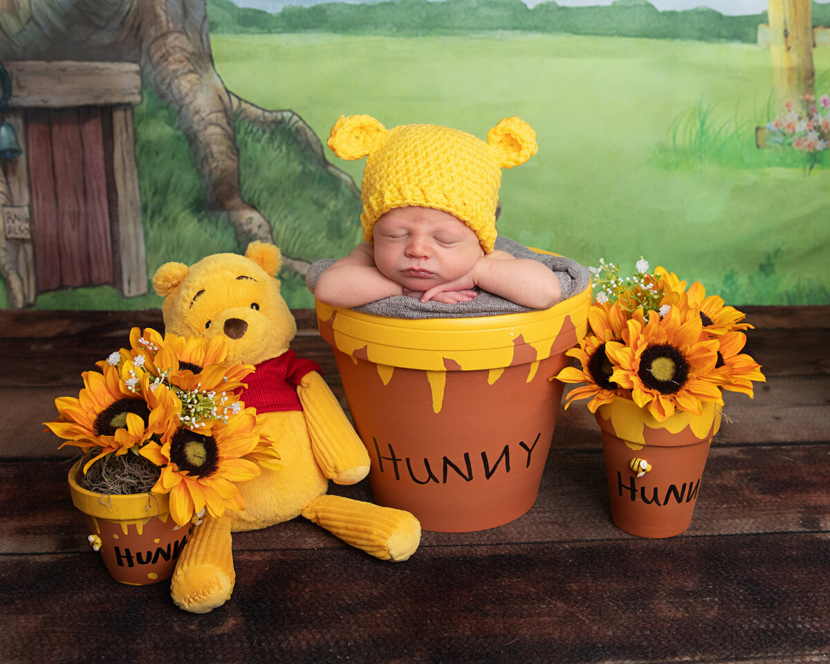 winnie-the-pooh-theme-newborn