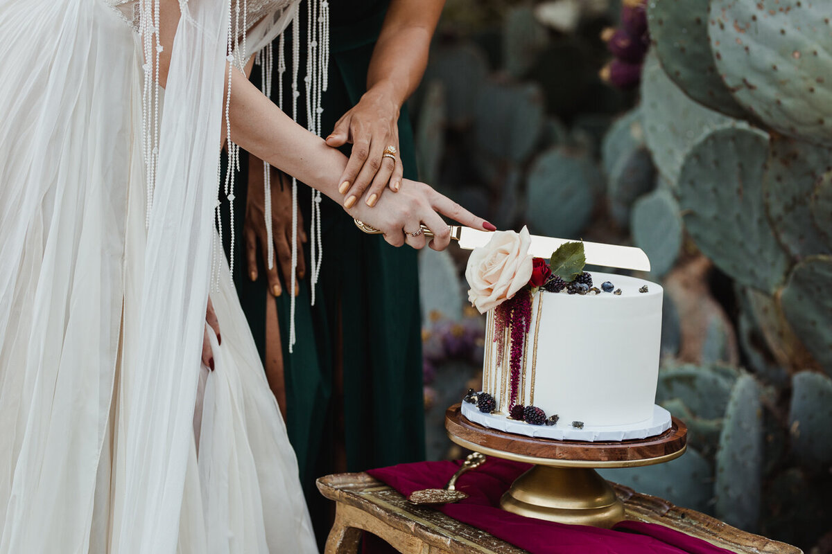 Jenny_Rolapp_Photography-124