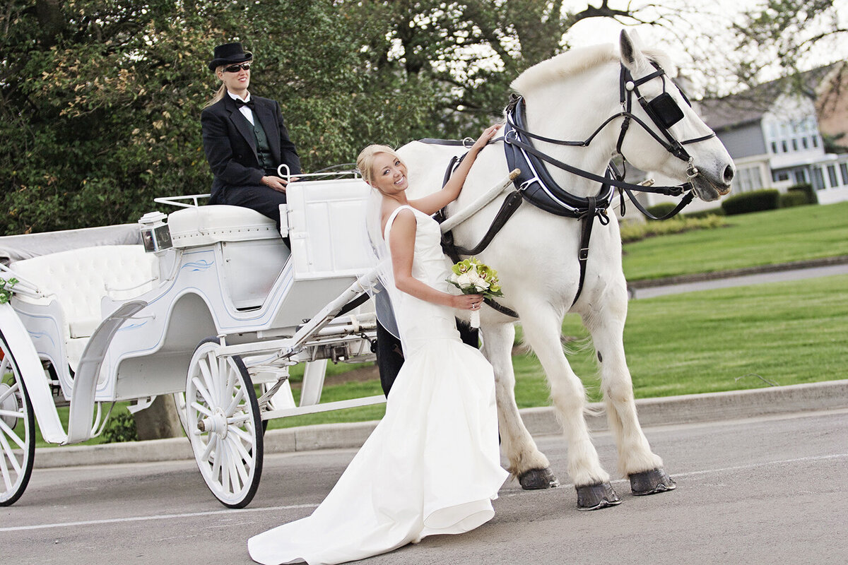 kentucky white horse wedding