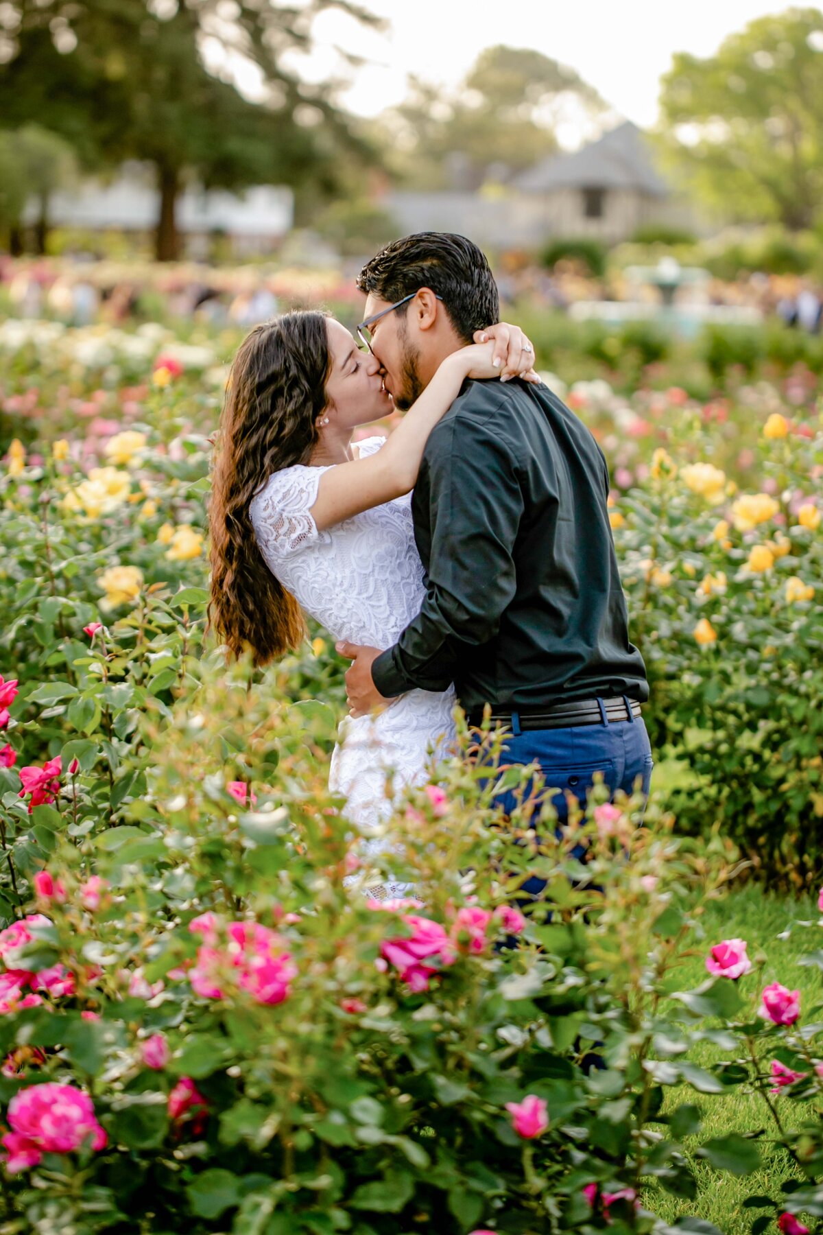 San Jose Rose Gardenl Session-2