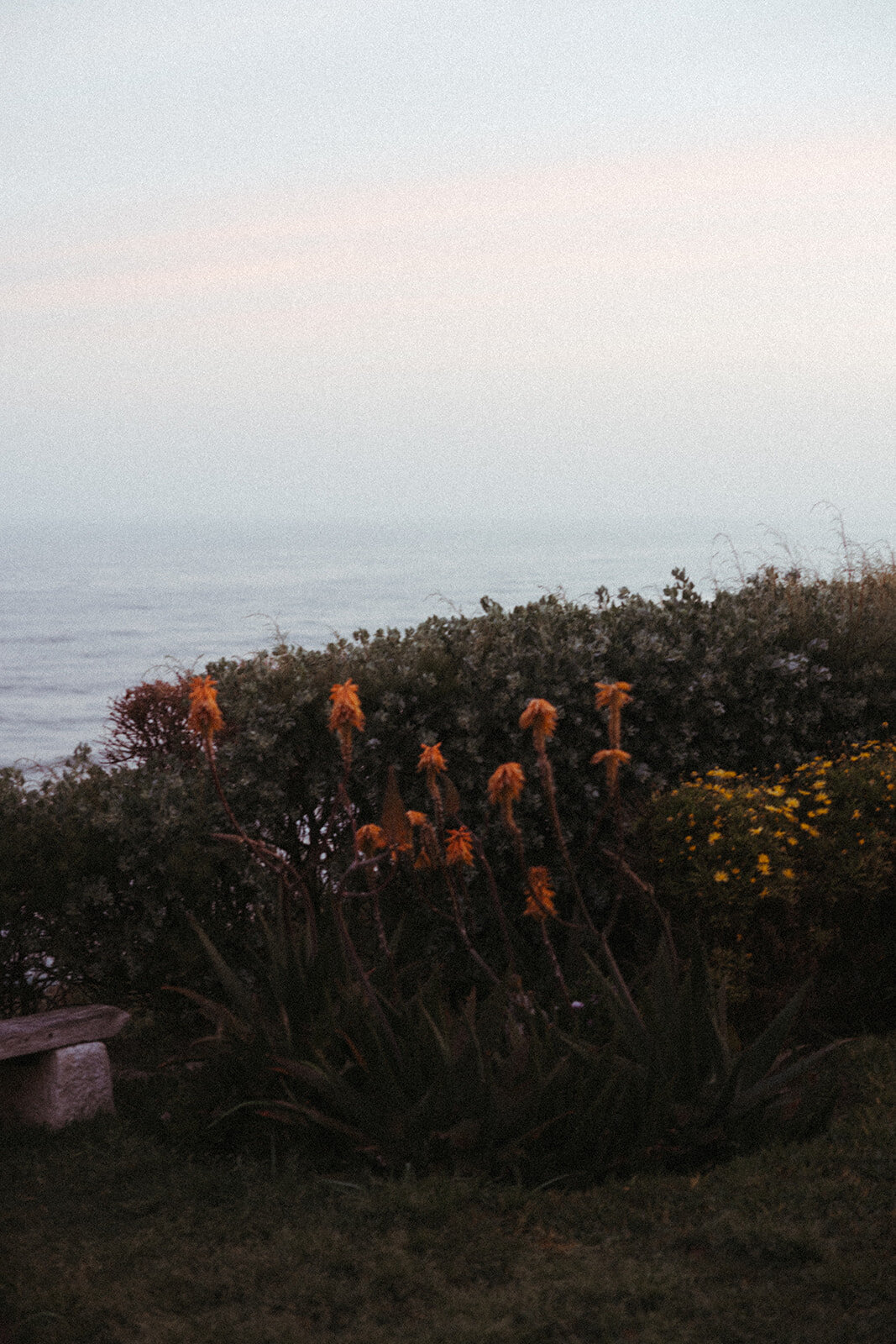 PortugalElopement-DallinHassard-1103