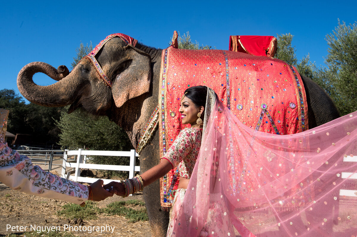 Wedding at Saddlerock Ranch, Malibu