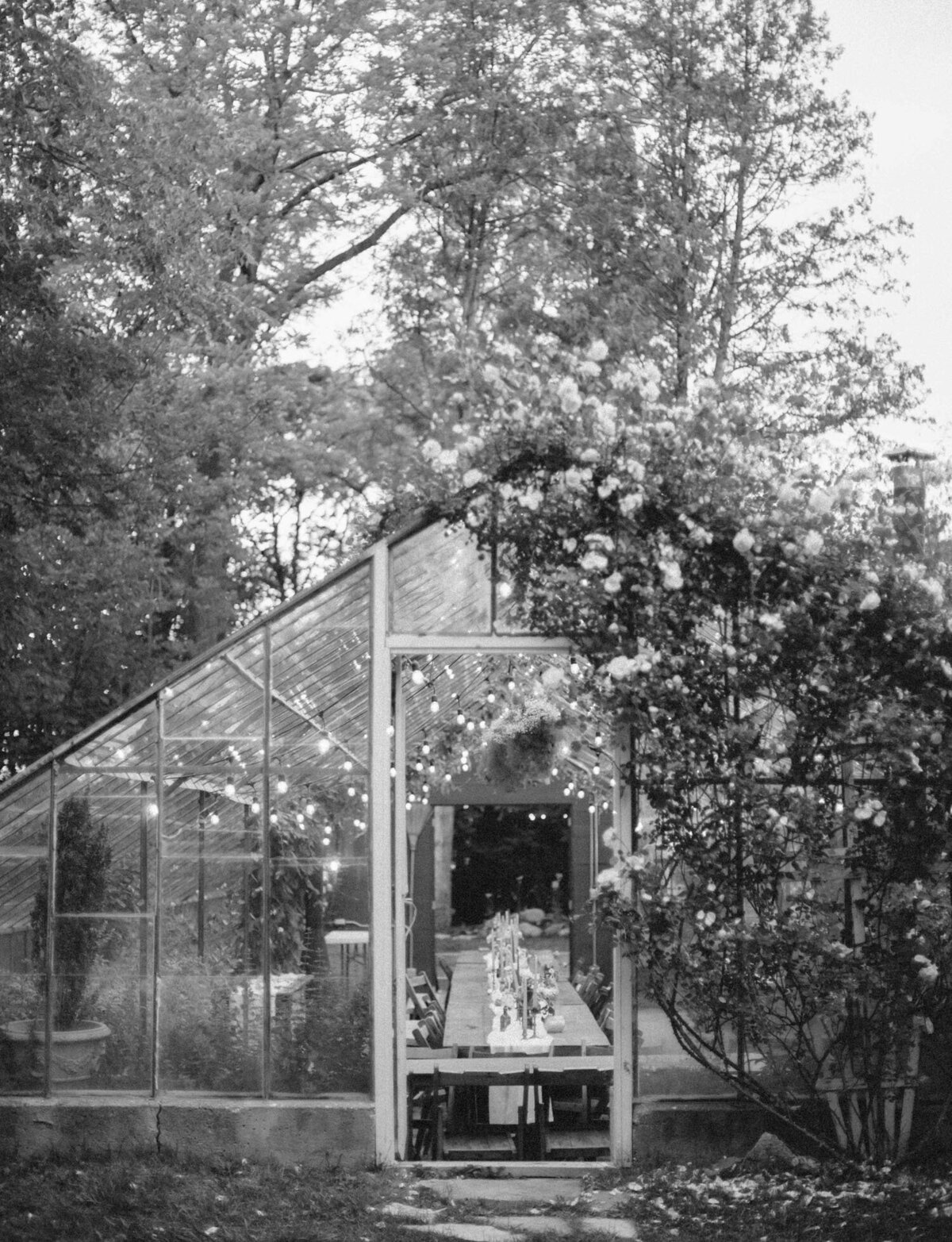 roses grow over glass greenhouse, garden greenhouse wedding venue in Michigan
