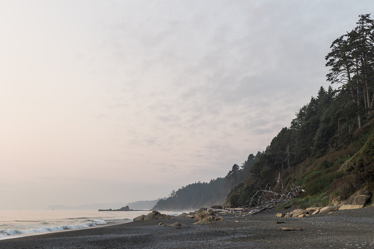 Olympic National Park Elopement  - Tara Nichole Photo - 2023 - Kyle and Keaton-200
