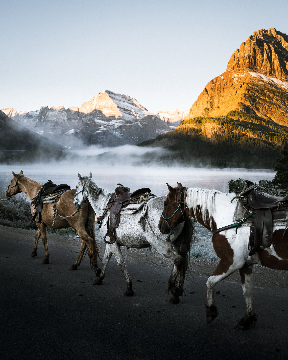 Three horses with saddles walking on path in front of mountains with fog