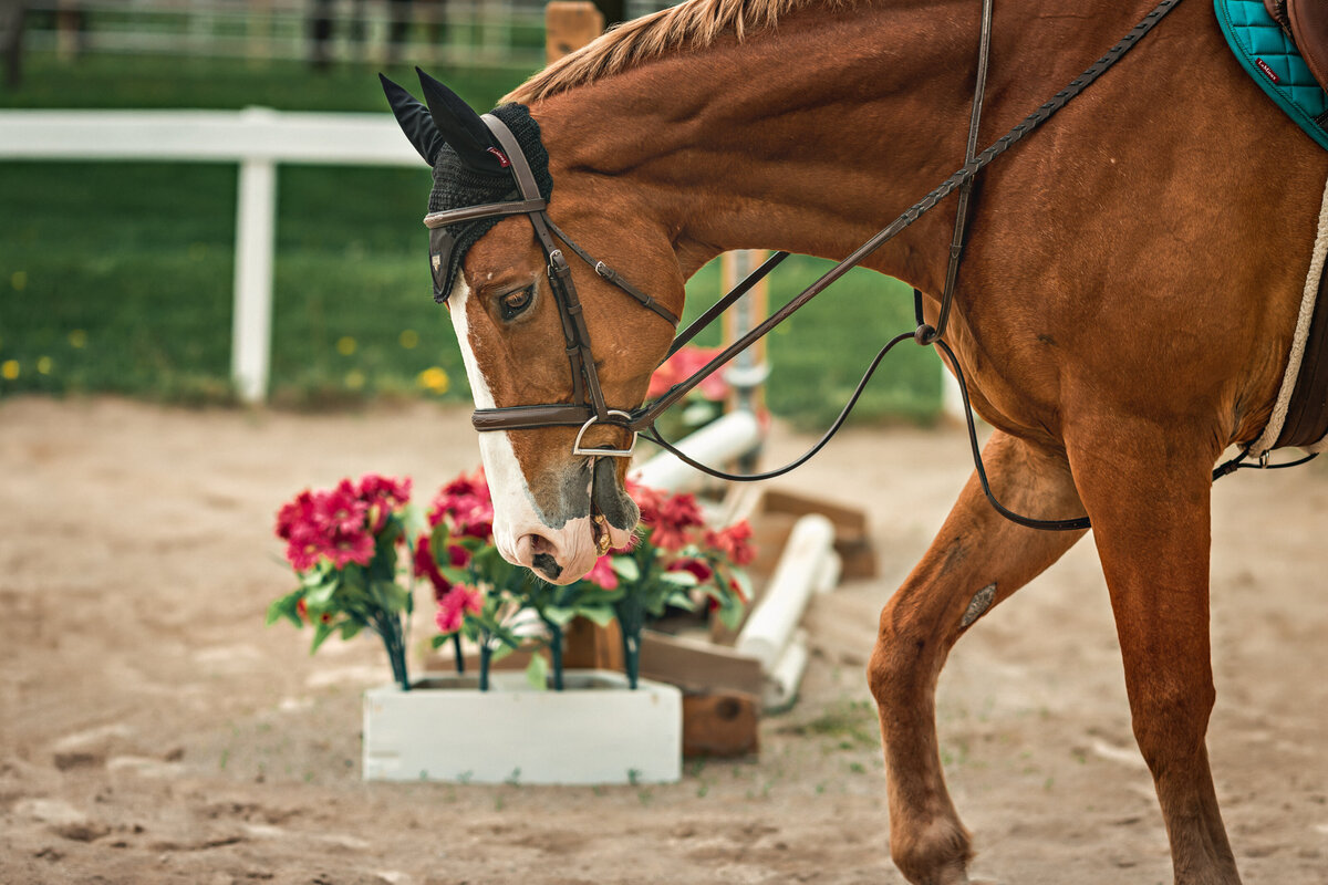 0L6A0359-Edit-Edit