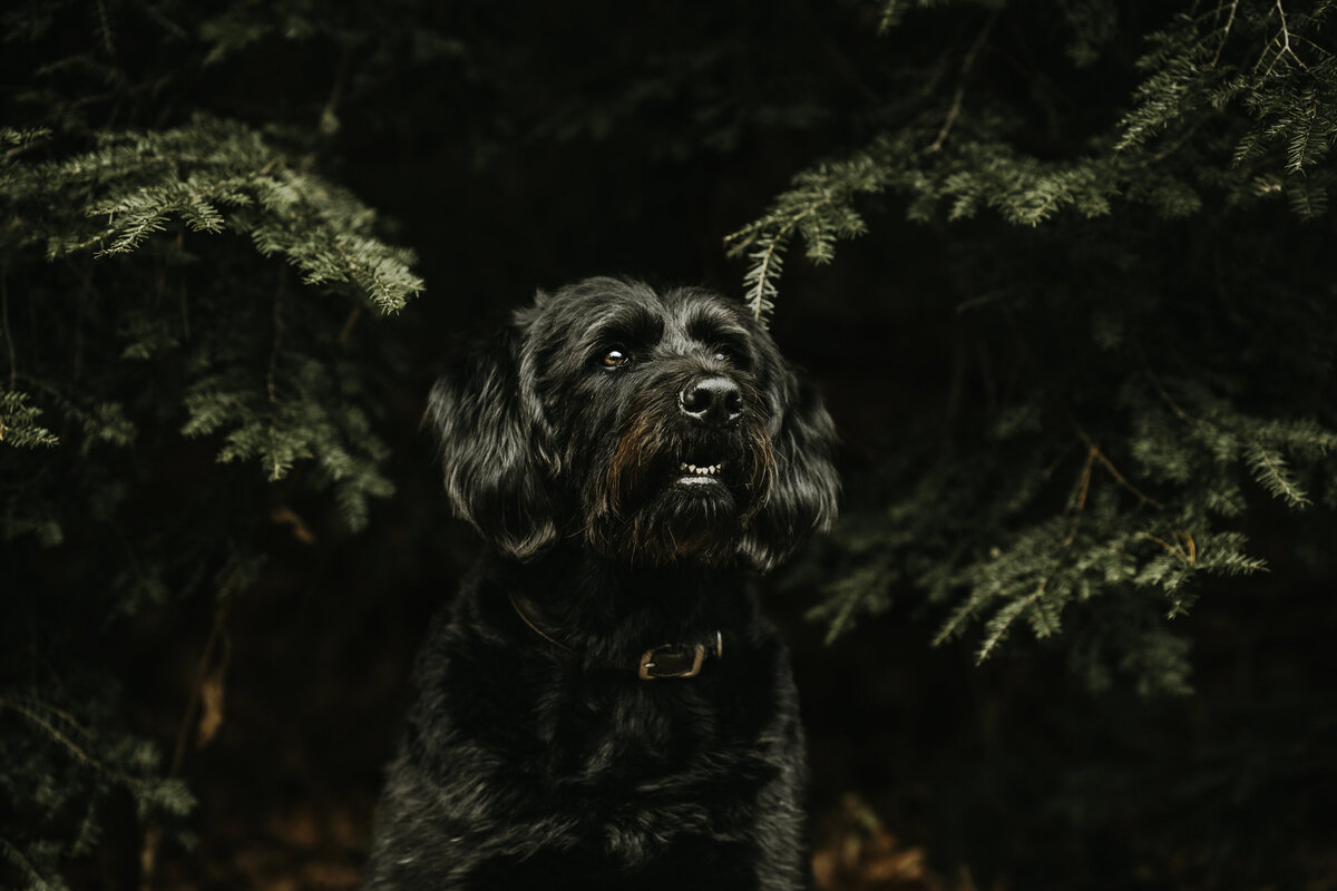 _A744008