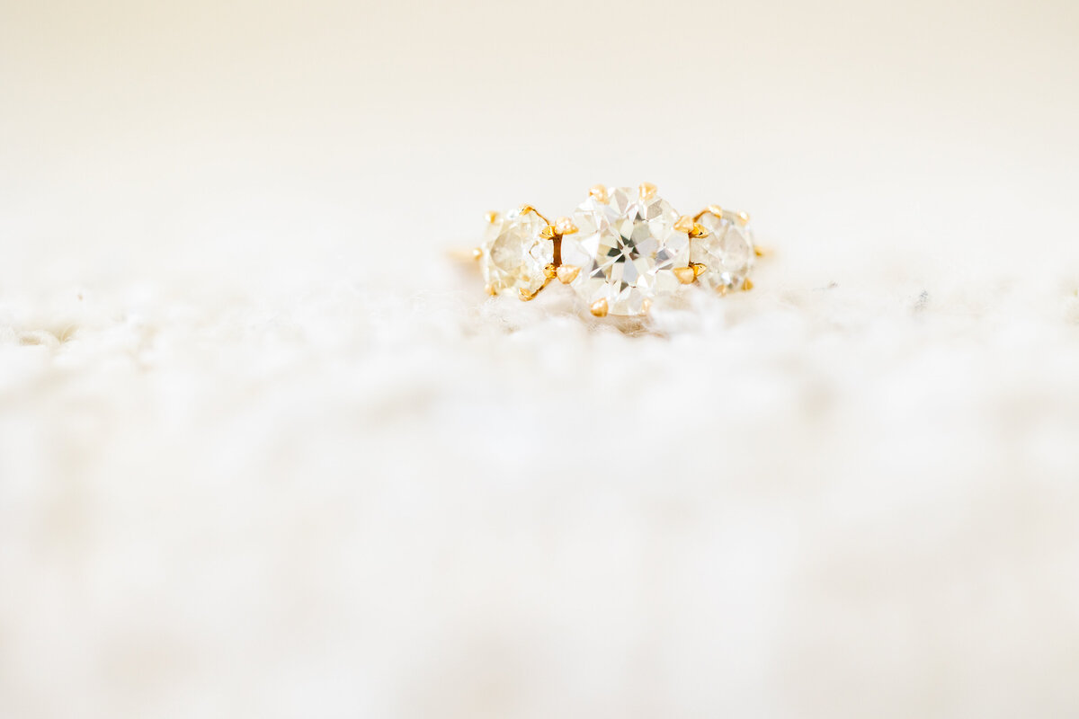K+C Engagment-15