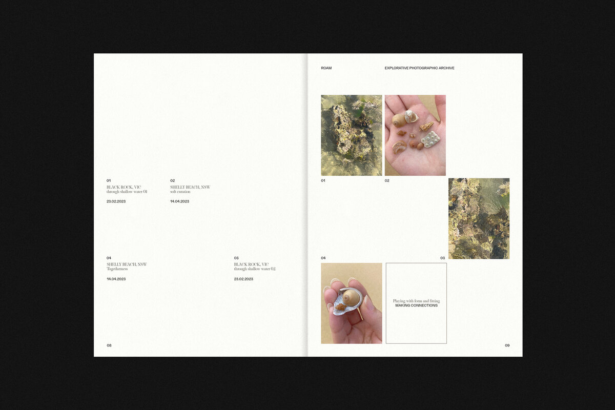 Roam pages3-2