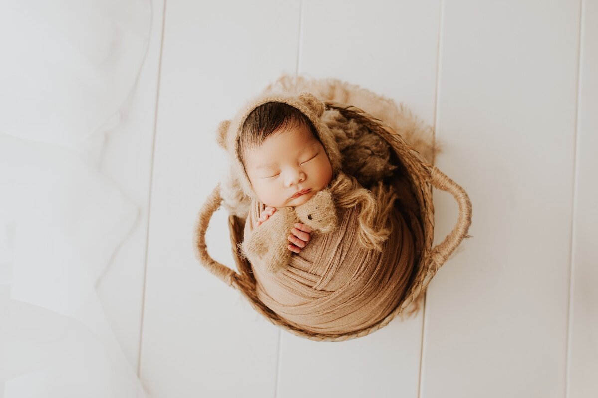 Sacramento, Elk Grove, Florin, Vineyard, Roseville, Davis, Rancho Cordova, East Sacramento, Cameron Park, Folsom, Antelope Newborn Photographer, Baby Photographer, A Little Goose