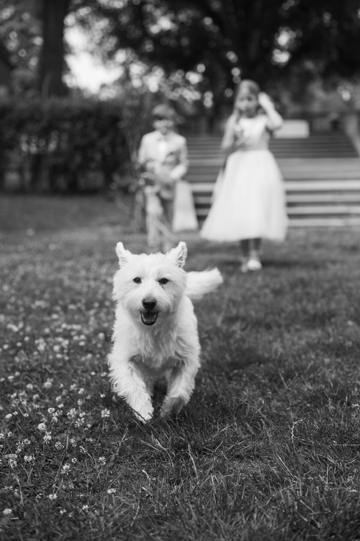 newyorkcityweddingphotographer-1-7