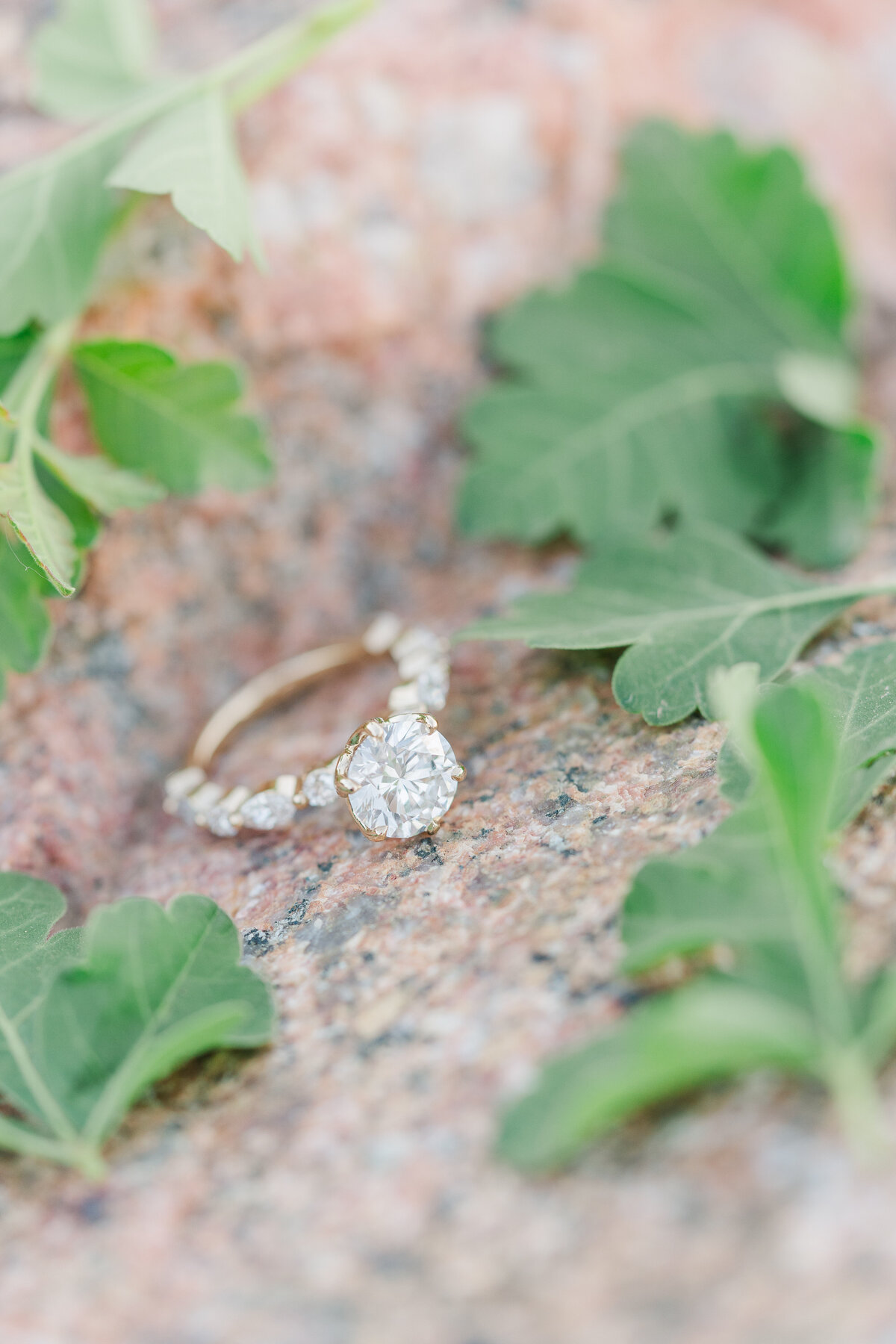 Garden of the Gods Red Rocks Colorado Springs Epic Romantic Engagement Pictures Elena Spraguer Photography 0061