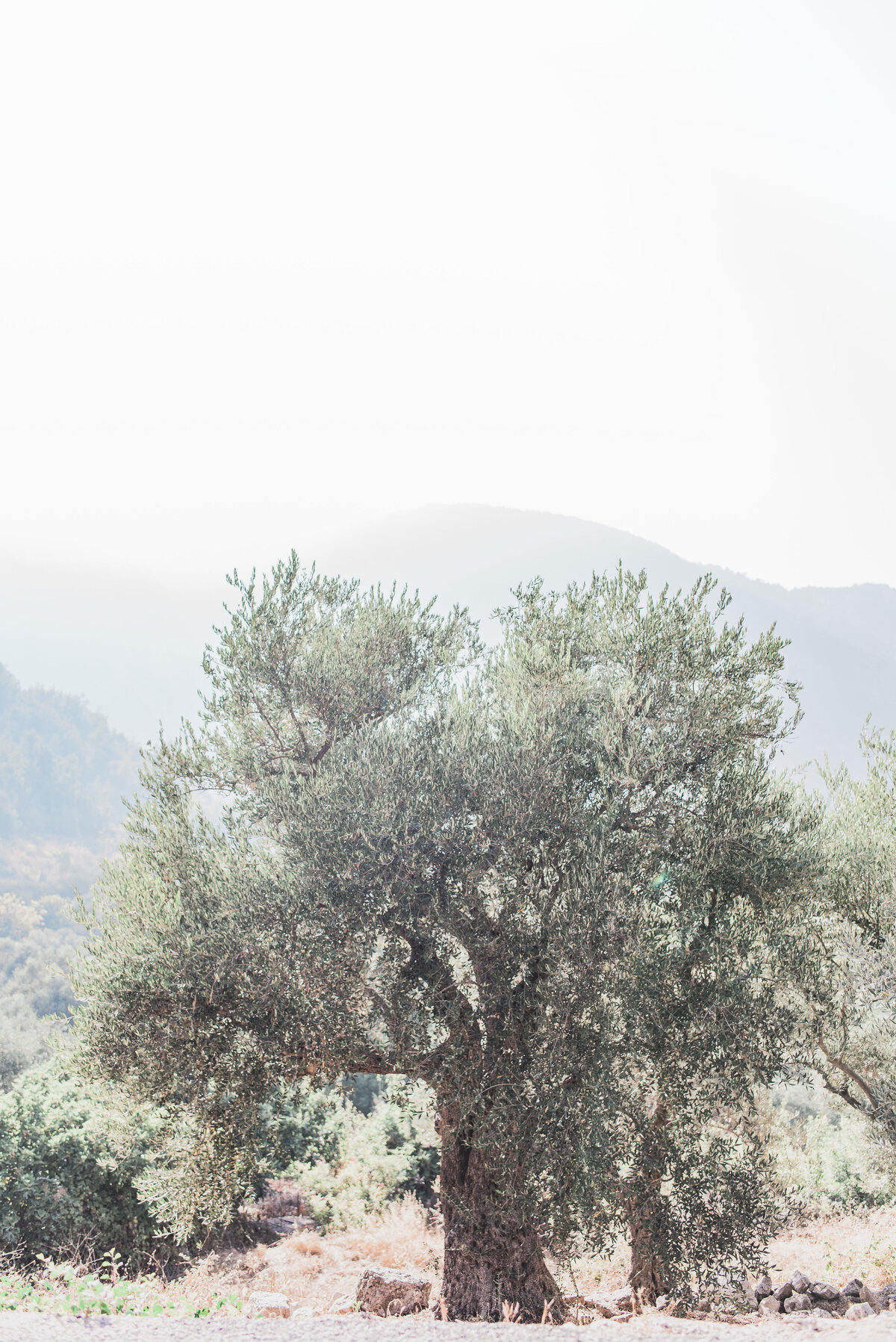 0212_Lebanon_Fine_Art___Photography_by_Emma