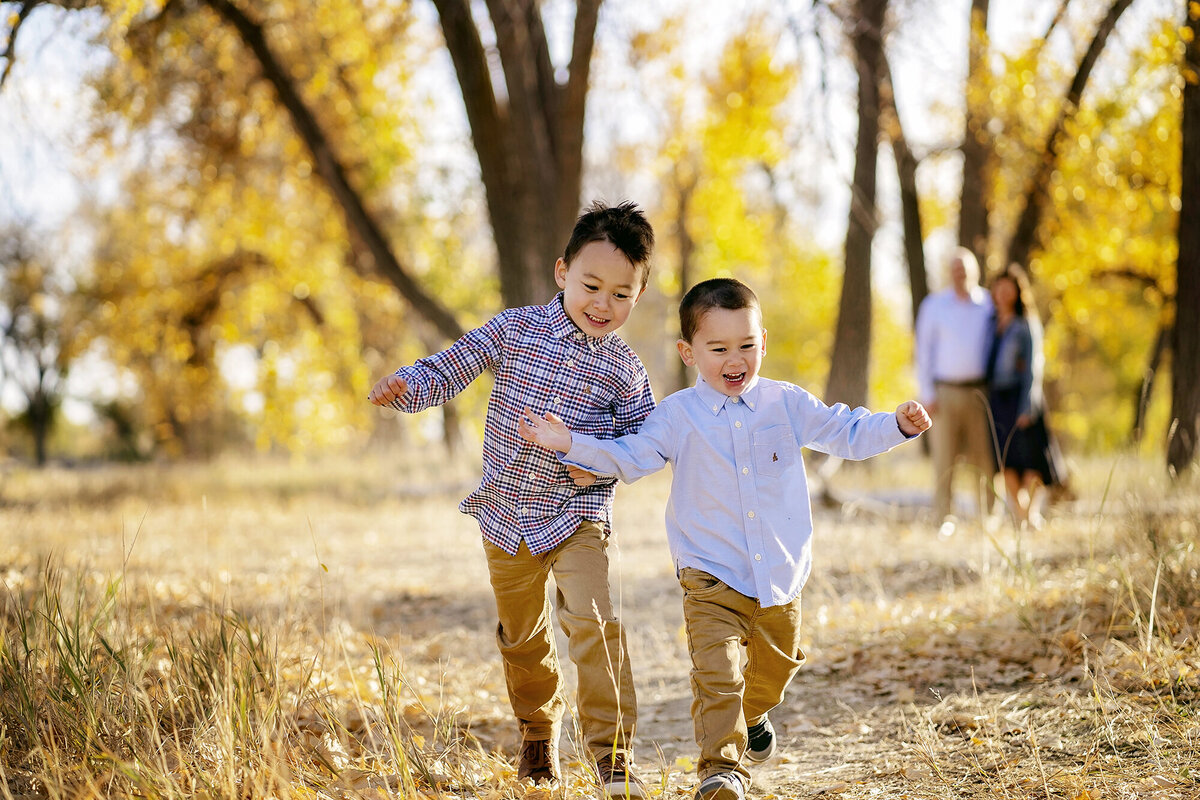 Brothers running and playing together in beautiful yellow fall trees during their family photo session in Littleton, Colorado.
