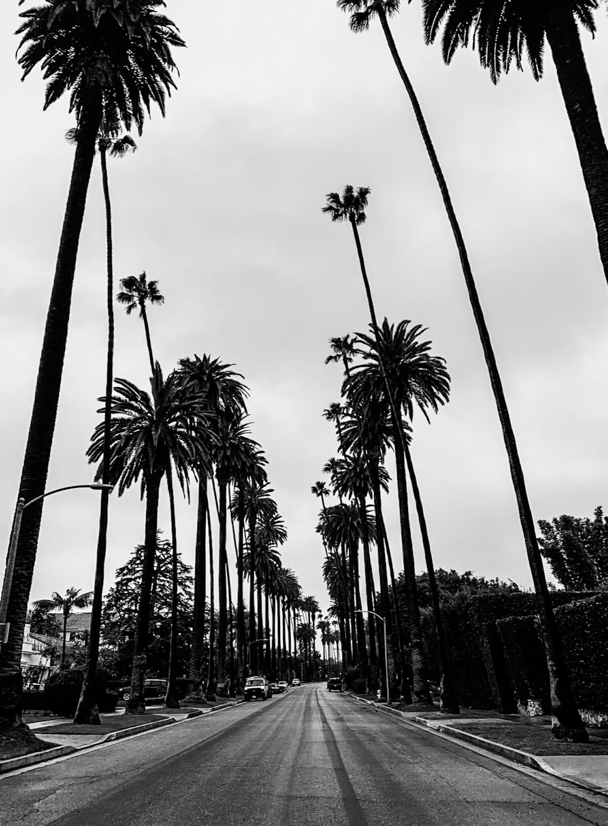 IMG_3946