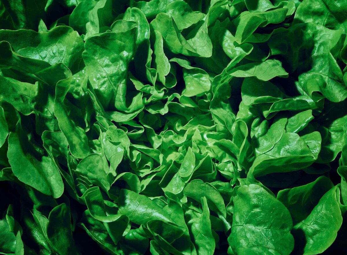 fooddrinks_photography_green-salad