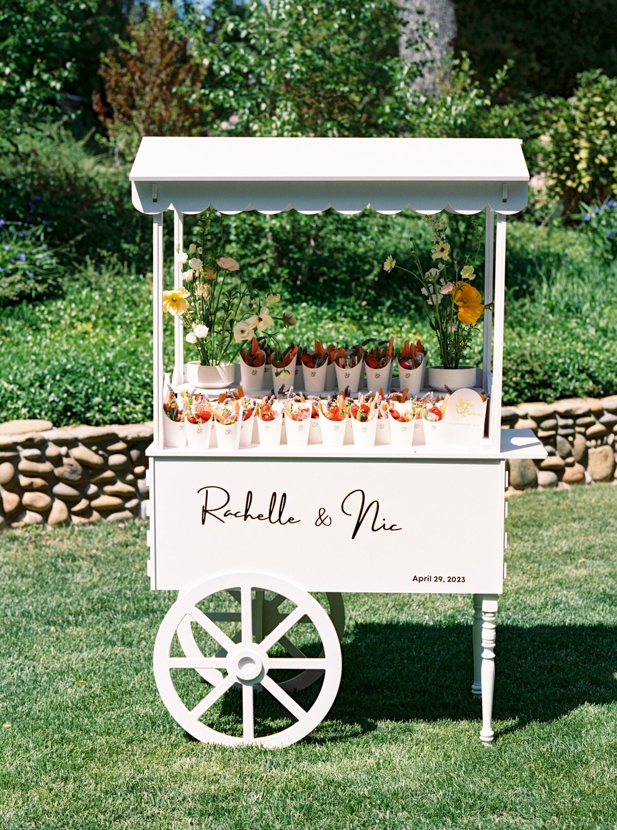 Rachelle Nic Wedding-0036