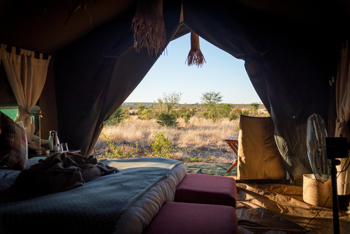 Tent View_1