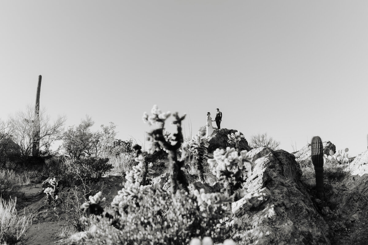 Desert elopement photographer_Dianna_Megan Maundrell Photography Inc (11 of 13)