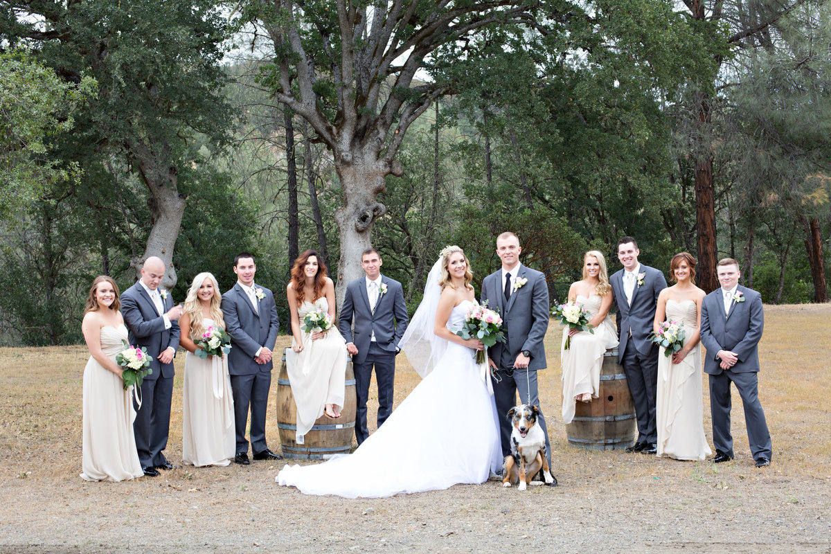 bridal party at Cache Creek Winery