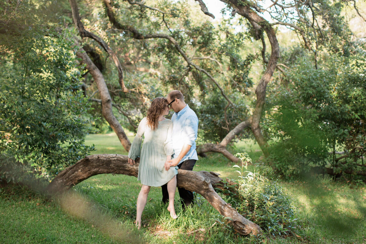 An engaged couple sit on a fallen limb while snuggling close for their engagement photos