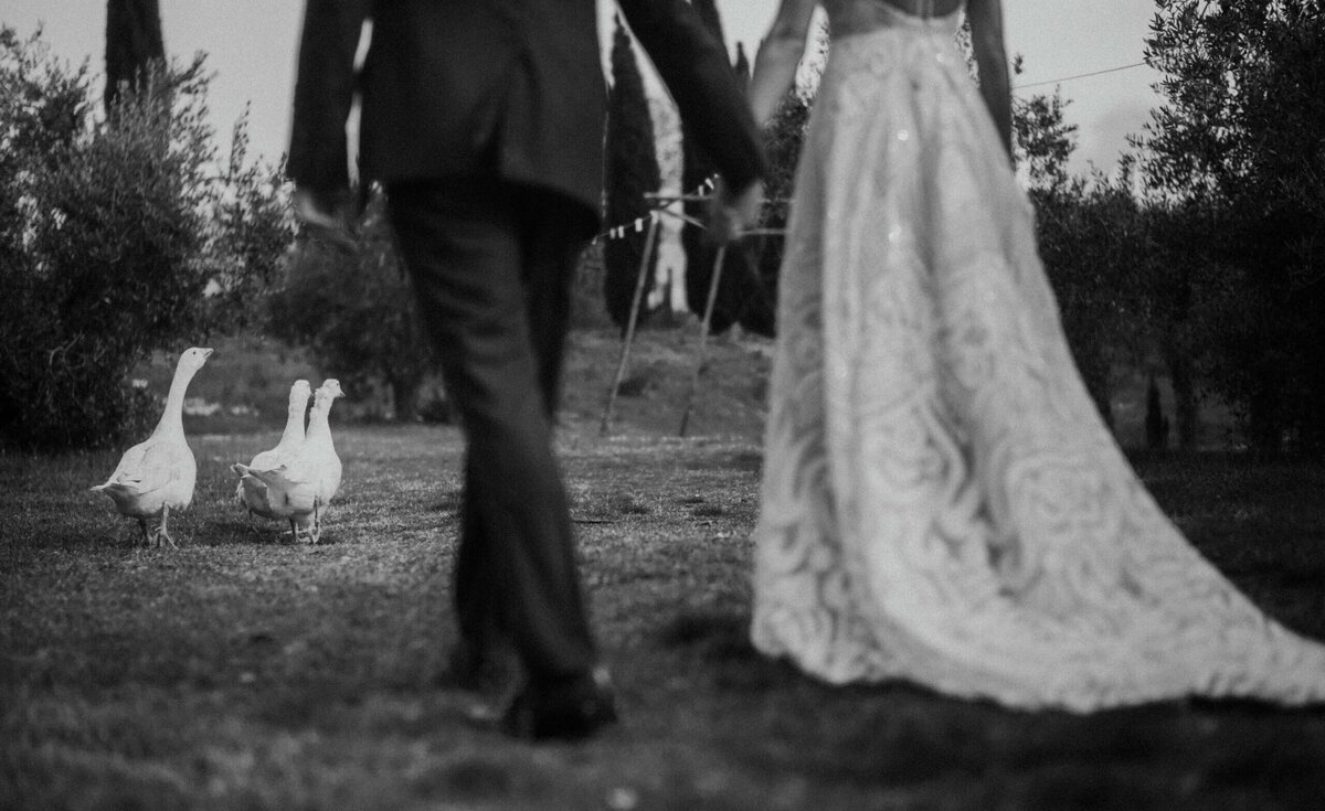 intimate wedding at the lazy olive villa bride and groom ceremony