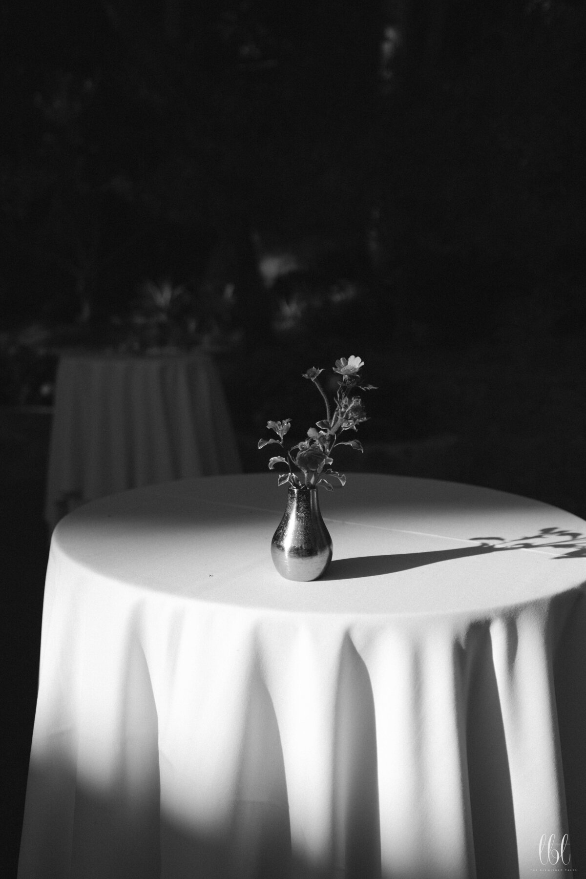 FayeFernCreative-CalamigosRanch-Wedding-WelcomeParty-AM-24