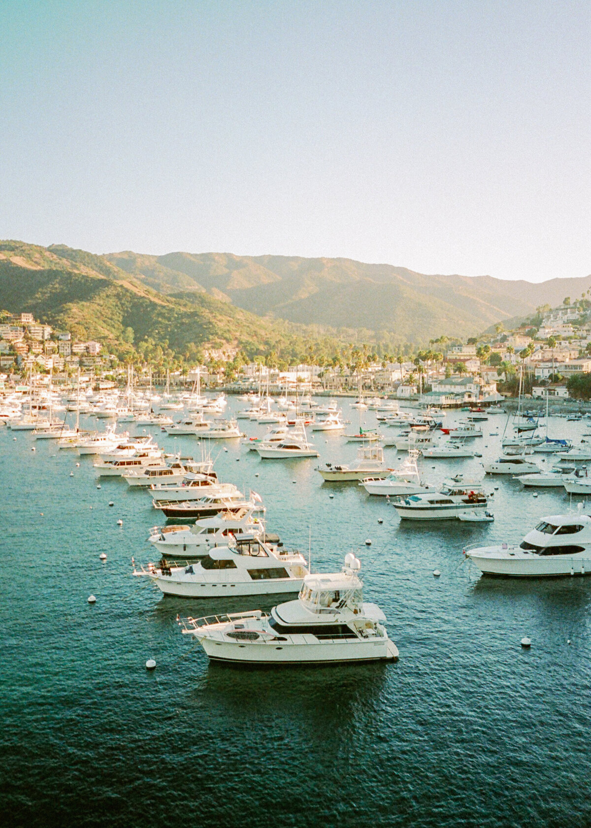 jarrodjphoto-catalina-island-wedding-4