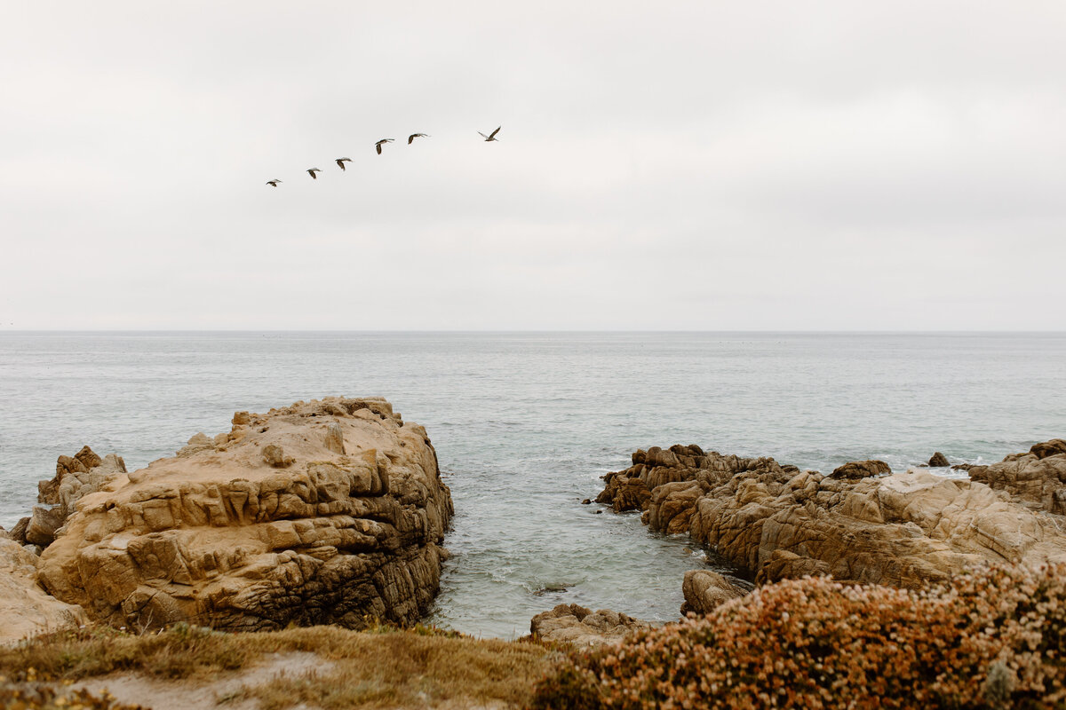 big-sur-wedding-8521