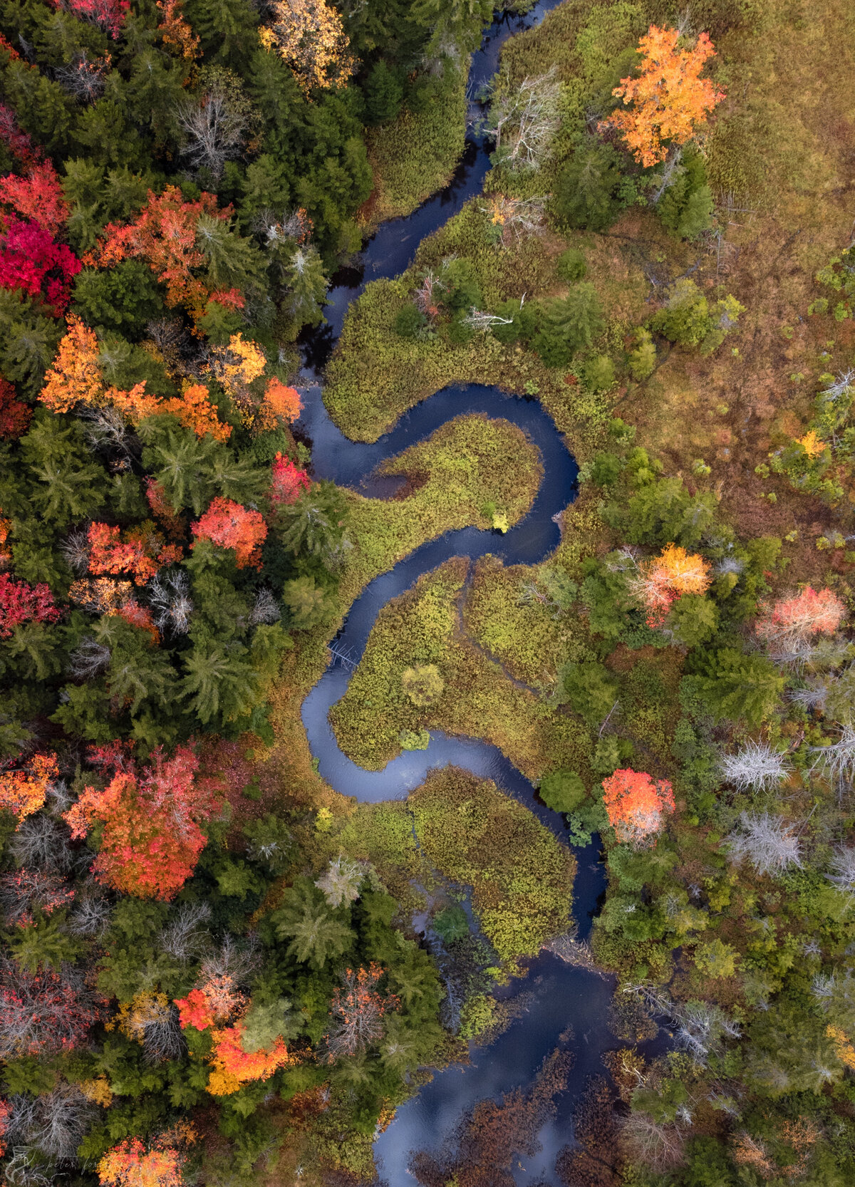 Autumn Highlands Brook