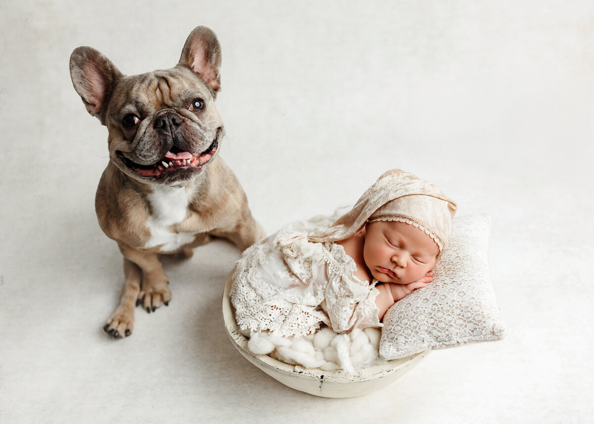 nj-marlboro-newborn-photographer10