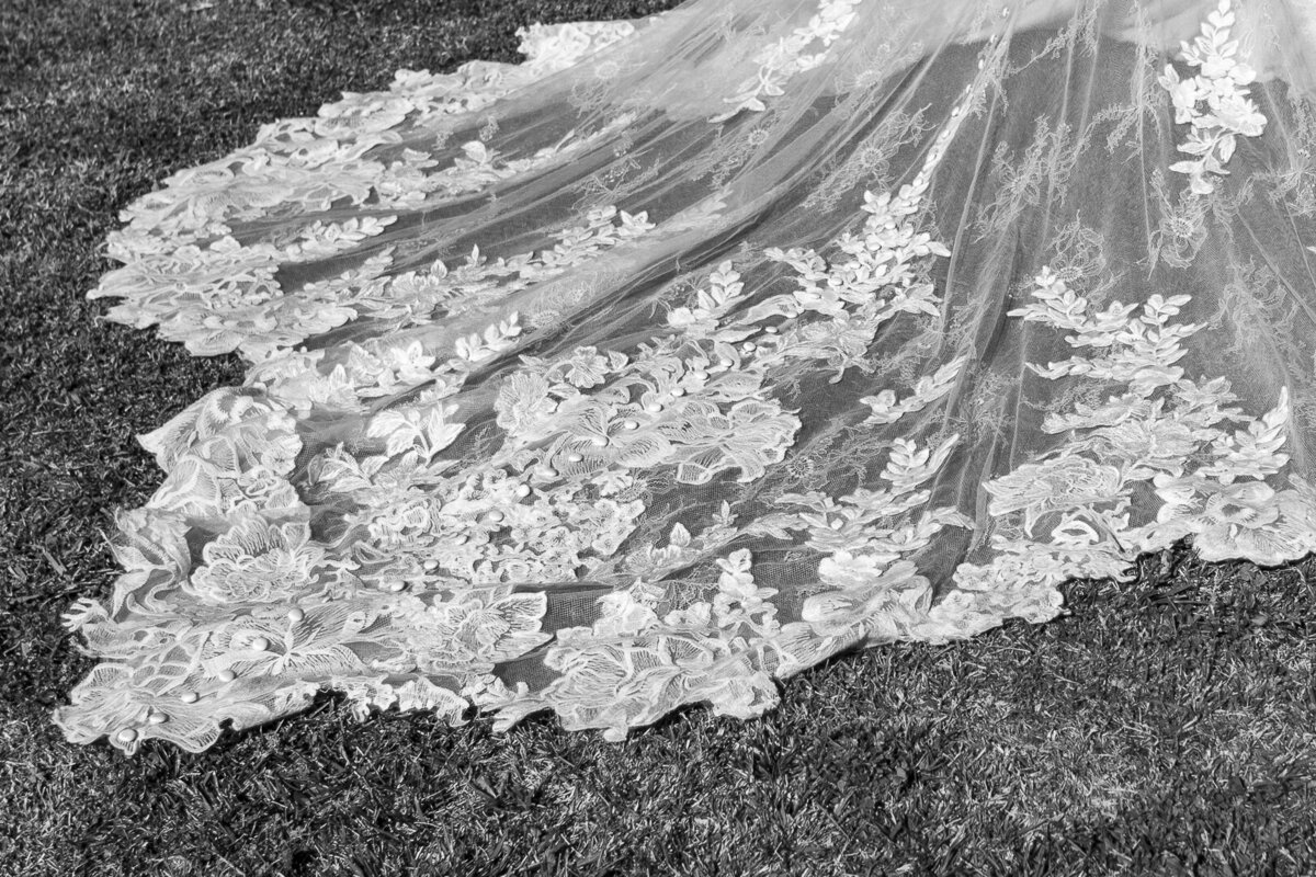 Wedding_Madison+David_021525-149