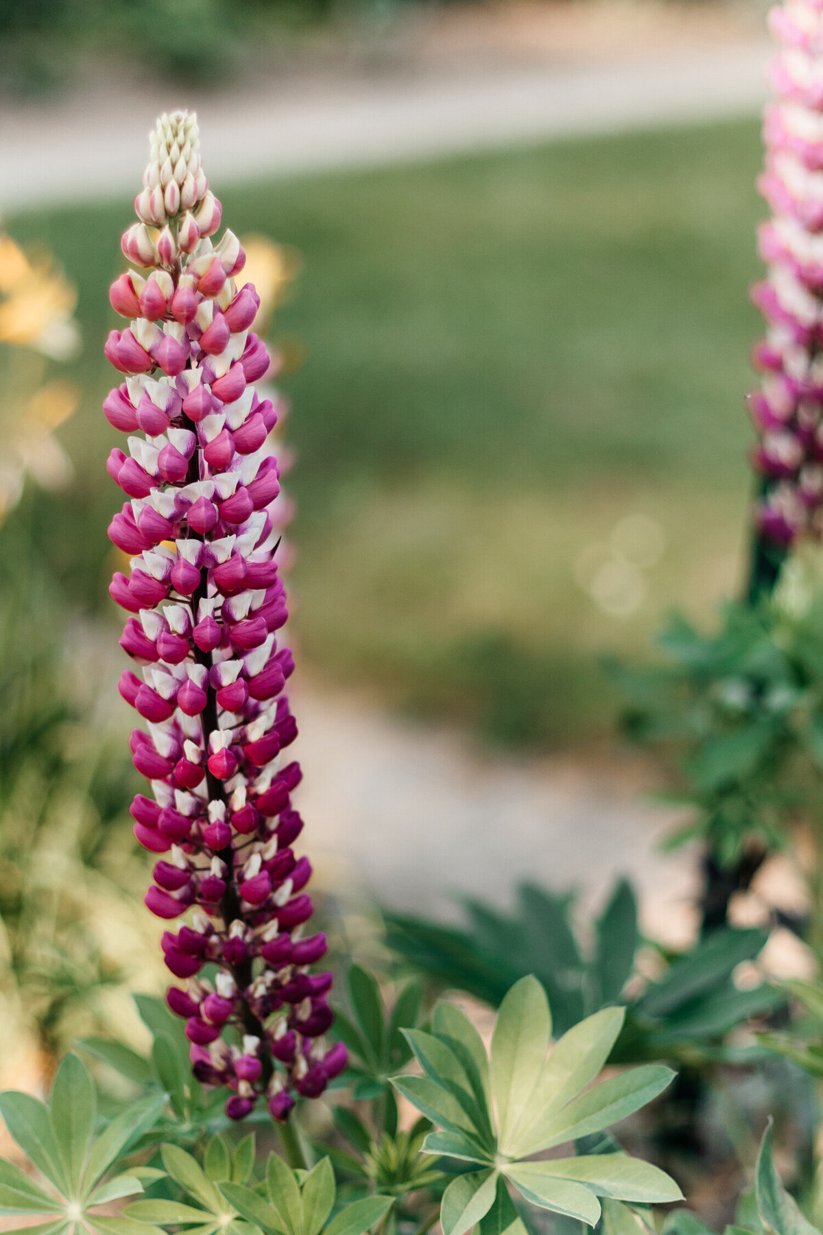 EleonoreGarat_Weddingplanner (6)