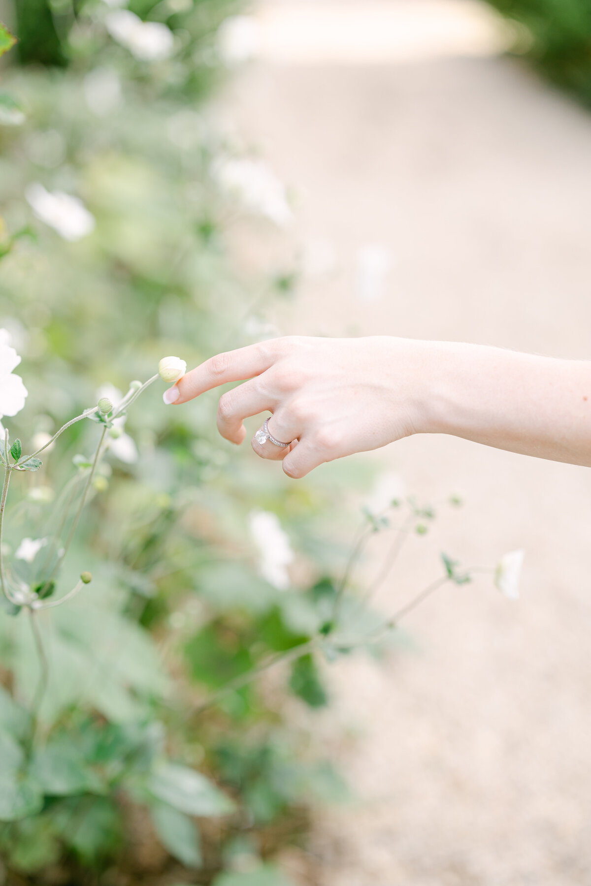 Planting Fields Arboretum Engagement Photographer Long Island-13