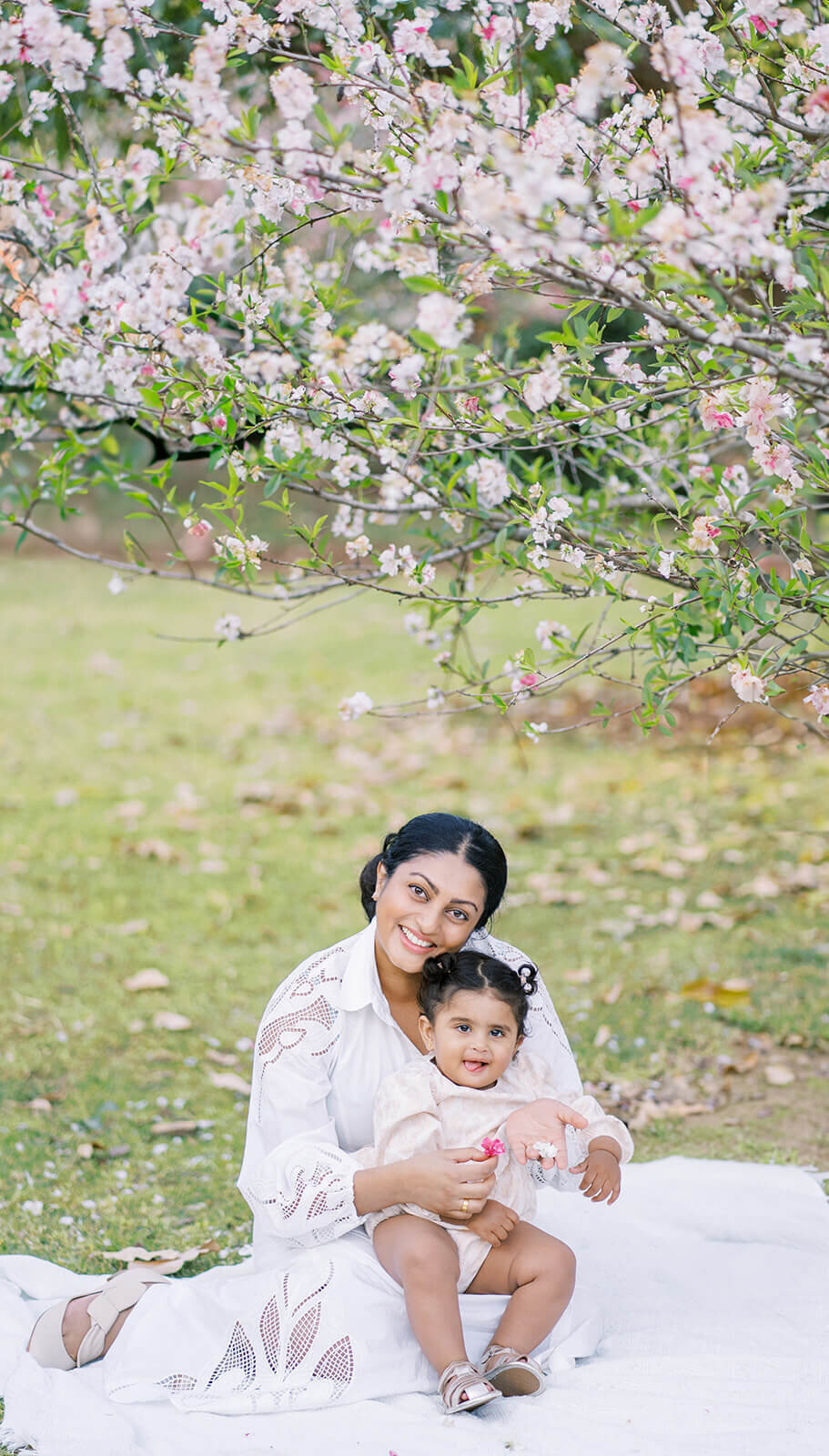 Indian family celebrates their baby's one year birthday amidst stunning cherry blossoms in Gold Coast