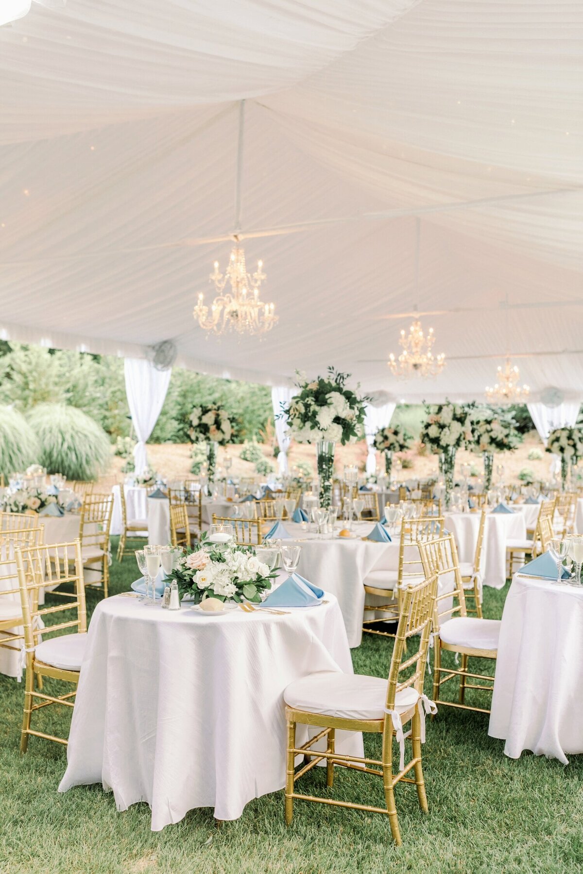 colonial williamsburg wedding__2826